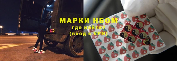 индика Горно-Алтайск