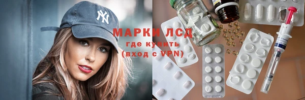 индика Горно-Алтайск