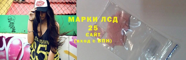 apvp Горняк