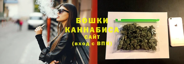 индика Горно-Алтайск