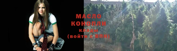 apvp Горняк
