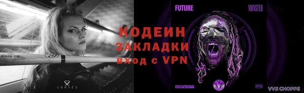 индика Горно-Алтайск