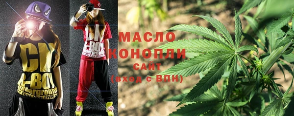 индика Горно-Алтайск