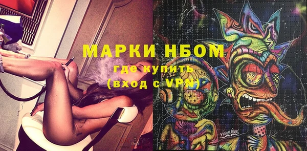 индика Горно-Алтайск