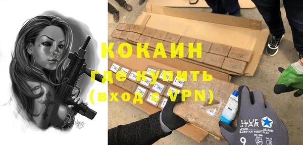 индика Горно-Алтайск