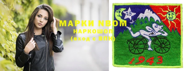 индика Горно-Алтайск