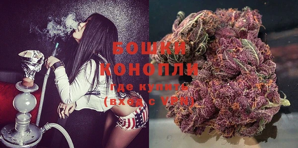 индика Горно-Алтайск